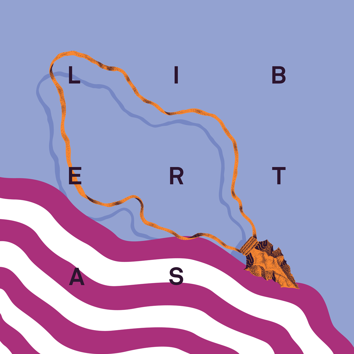 Libertas x Vinyl Moon